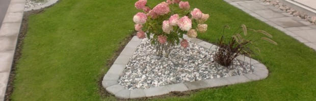 Plantering