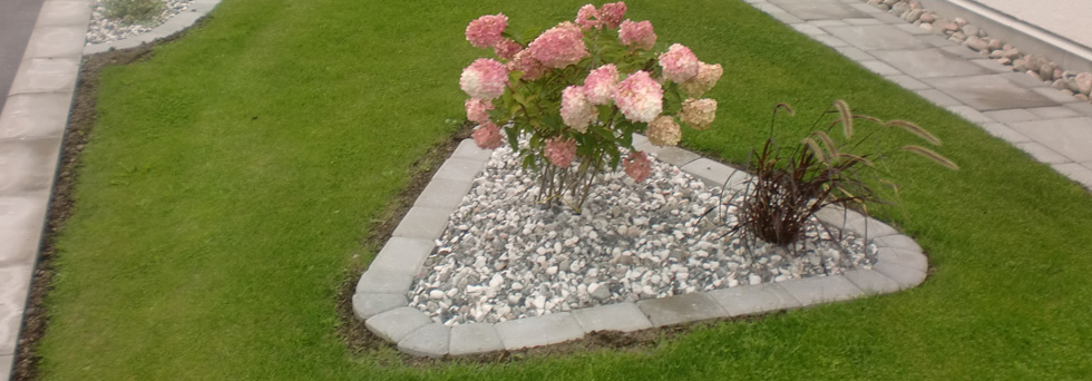 Plantering